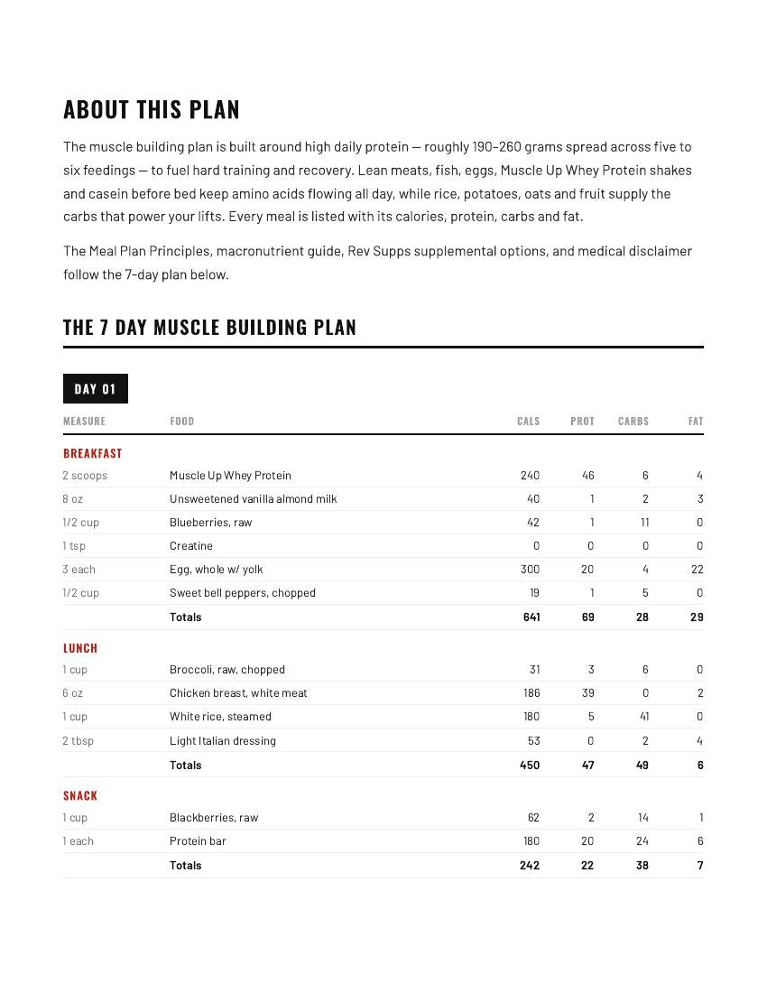 Muscle building plan page 2 – full Day 1